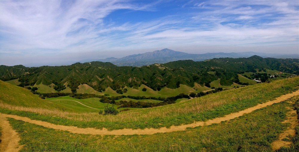 Alamo & Mt. Diablo Hiking