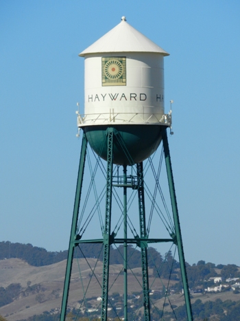 Hayward Homes